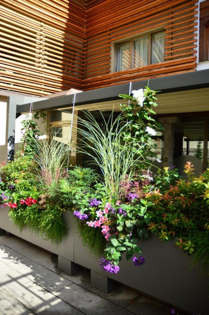 Locanda Blum In Rovetta 外观 照片